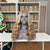 Luwelhair Tiktok version 16inch transparent lace 13x4 frontal wig, Balayage color, video 140227